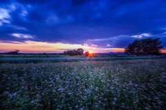 岳麓區企業做網站記住這8個步驟